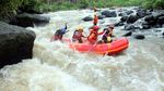 Rafting Seru Taklukkan Derasnya Sungai Kalibaru, Banyuwangi