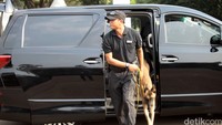 Anjing pelacak keluar masuk mobil untuk melakukan pemeriksaan.
