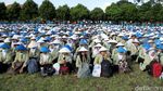 Penerimaan Mahasiswa Baru UGM 2016