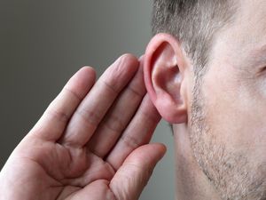 Mengeluh Vertigo dan Sakit, Keluar Laba-laba dari Telinga Pria Ini