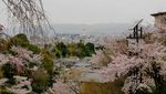 Kuil Kuno di Atas Bukit yang Populer di Kyoto