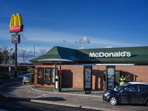 Cuma 1 Hari! McDonalds Sediakan Kembali Saus Szechuan yang Sempat Populer