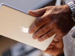 Lumba-lumba Rebut iPad Pengunjung SeaWorld
