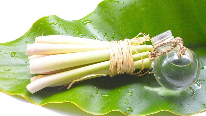 Natural Spa Ingredients Lemongrass essential Oil with Aromatherapy