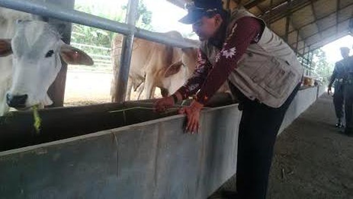 Pemkab Pasuruan Gandeng IPB Bangun Sekolah Peternakan Rakyat