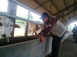 Pemkab Pasuruan Gandeng IPB Bangun Sekolah Peternakan Rakyat