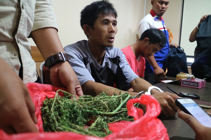 Pria asal Makassar Berurusan dengan Polisi karena Tanam Ganja di Rumah