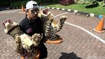 Pengungkapan Kasus Perdagangan Satwa Dilindungi
