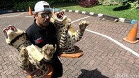 Petugas memeriksa barang bukti saat pengungkapan kasus perdagangan satwa dilindungi di Kementerian Lingkungan Hidup dan Kehutanan, Jakarta, Rabu (03/08/2016). 