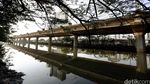 Dulu Kumuh, Kini Kali Ancol Terlihat Bersih