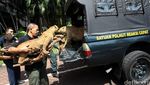 Pengungkapan Kasus Perdagangan Satwa Dilindungi