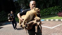 Ini merupakan barang bukti dari tersangka Eddy Saputra Wijaya Kho.