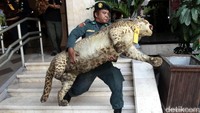 Ini merupakan penyerahan tahap ke II. 