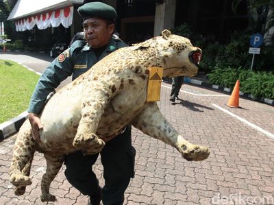 Pengungkapan Kasus Perdagangan Satwa Dilindungi
