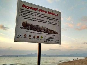 Akan Ada Sayembara Tangkap Buaya di NTT, Hadiahnya Rp 5 Juta per Ekor