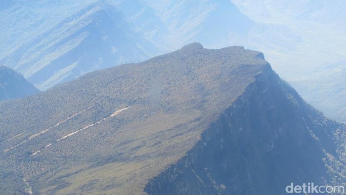 Tangga menuju ke Surga di Pegunungan Cartenz, Papua