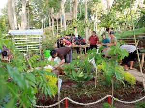 Ingin Lebih Mudah Makan Sayur? Coba Sering-sering Berkebun