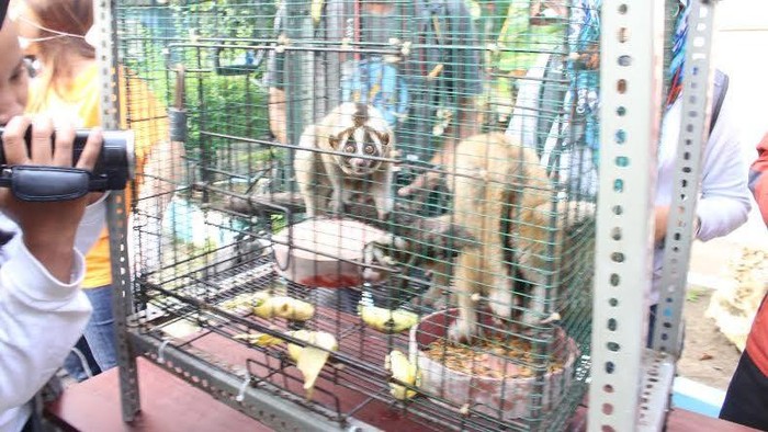 Penjualan Enam Satwa Langka Dilindungi Berhasil Digagalkan