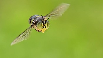 Agar tidak shake, ia menyetting speed tinggi. Foto: Balox