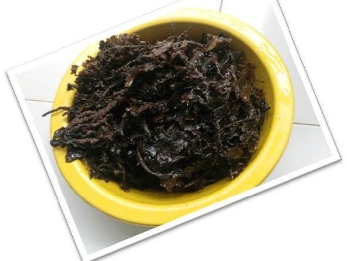 Alga Coklat Bermanfaat bagi kesehatan