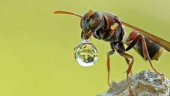 Ia hanya mengandalkan tangan untuk menyangga kamera. Foto: Balox