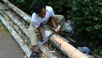 Jelang HUT RI, Pedagang Pohon Pinang Mulai Marak