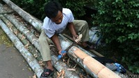 Pedagang menguliti batang pohon pinang.