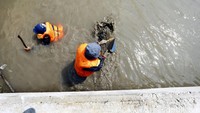 Petugas Dinas Kebersihan Kota Bekasi nyemplung ke sungai untuk mengeruk lumpur.