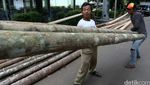 Jelang HUT RI, Pedagang Pohon Pinang Mulai Marak