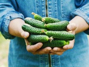 Kalau Rutin Konsumsi Produk Organik Ini Manfaat Baik yang Didapat (2)