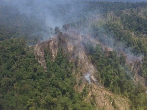 Satgas Karhutla Minta Penyegelan Lahan Terbakar Tak Hanya Kewenangan Polisi