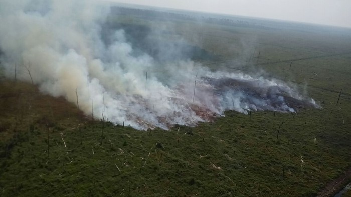 Lahan Riau Kembali Terbakar, Ini Penampakannya dari Udara