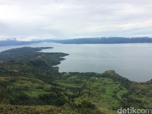 Tak Sekadar Legenda, Ikan Mas Danau Toba Bisa Berukuran Raksasa