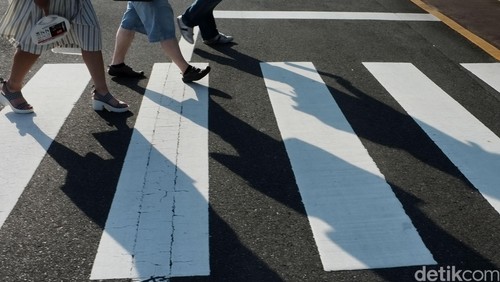 Pejalan kaki menyebrang Jalan di area zebra cros.   dikhy sasra/ilustrasi/detikfoto