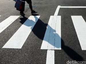 Aneh! Lubang Tikus Malah Jadi Atraksi Wisata Viral di Chicago