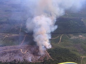 Penampakan Lahan yang Terbakar di Riau yang Tengah Dipadamkan Satgas Udara