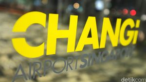 Jarang-jarang, Gangguan Sistem Imigrasi Picu Antrean Panjang di Changi