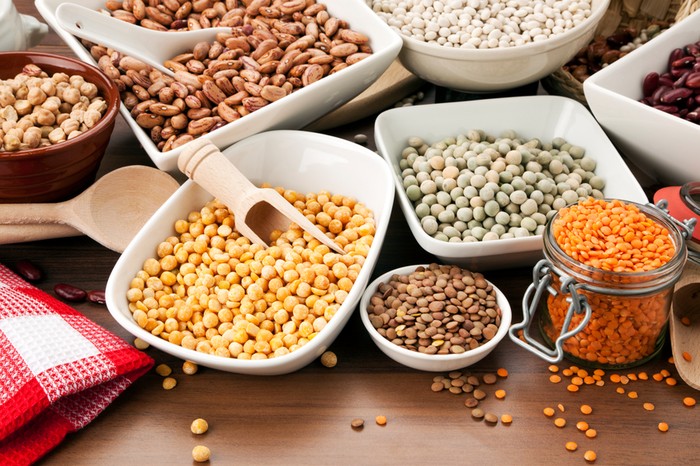 makanan protein