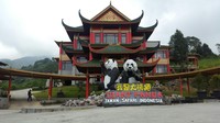 Sepasang giant panda dari China itu akan tiba di Bandara Soekarno-Hatta pada Kamis (28/9) sekitar pukul 08.50 WIB. Proses penyambutan pun akan digelar di bandara sebelum panda itu dibawa ke Taman Safari (Foto: Dok. Pusat Perhimpunan Usaha Taman Rekreasi Indonesia)