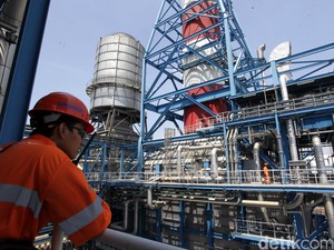 PLN Bangun Pembangkit Listrik Bahan Bakar Batok Kelapa Pertama di Kalbar