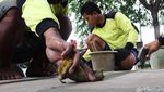 Pedestrian Jalan Ragunan Dipercantik
