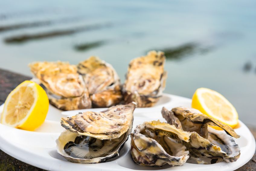 Half of a dozen oysters and a lemon on a plastic plate eating outdoors near the sea