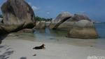 Pantai Tanjung Tinggi Belitung, Setiap Sudutnya Cantik!