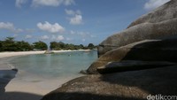Pantai Tanjung Tinggi ini pernah dijadikan lokasi syuting Laskar Pelangi dan Sang Pemimpi jadi tak jarang para wisatawan luar menyebut Pantai Tanjung Tinggi ini dengan sebutan pantai Laskar Pelangi (Agung/detikTravel)