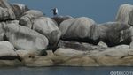 Pantai Tanjung Tinggi Belitung, Setiap Sudutnya Cantik!