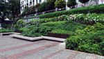 Ada Makam Keramat & Pohon Kenangan di Taman Kota Singapura