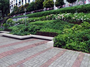 Liburan ke Singapura, Ada Taman Sejuk Untuk Jalan-Jalan Pagi
