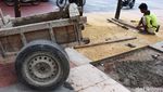 Pedestrian Jalan Ragunan Dipercantik