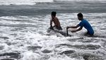 Lumba-Lumba Terdampar di Pantai Cilacap