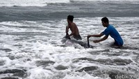 Beberapa nelayan sempat mengevakuasi lumba-lumba tersebut dengan cara menggiringnya dari bibir pantai menuju arah laut, Jumat (12/8/2018).